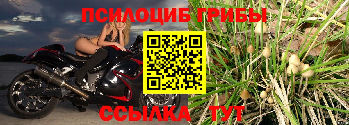 Псилоцибиновые грибы GOLDEN TEACHER  Вход с VPN  Воронеж 